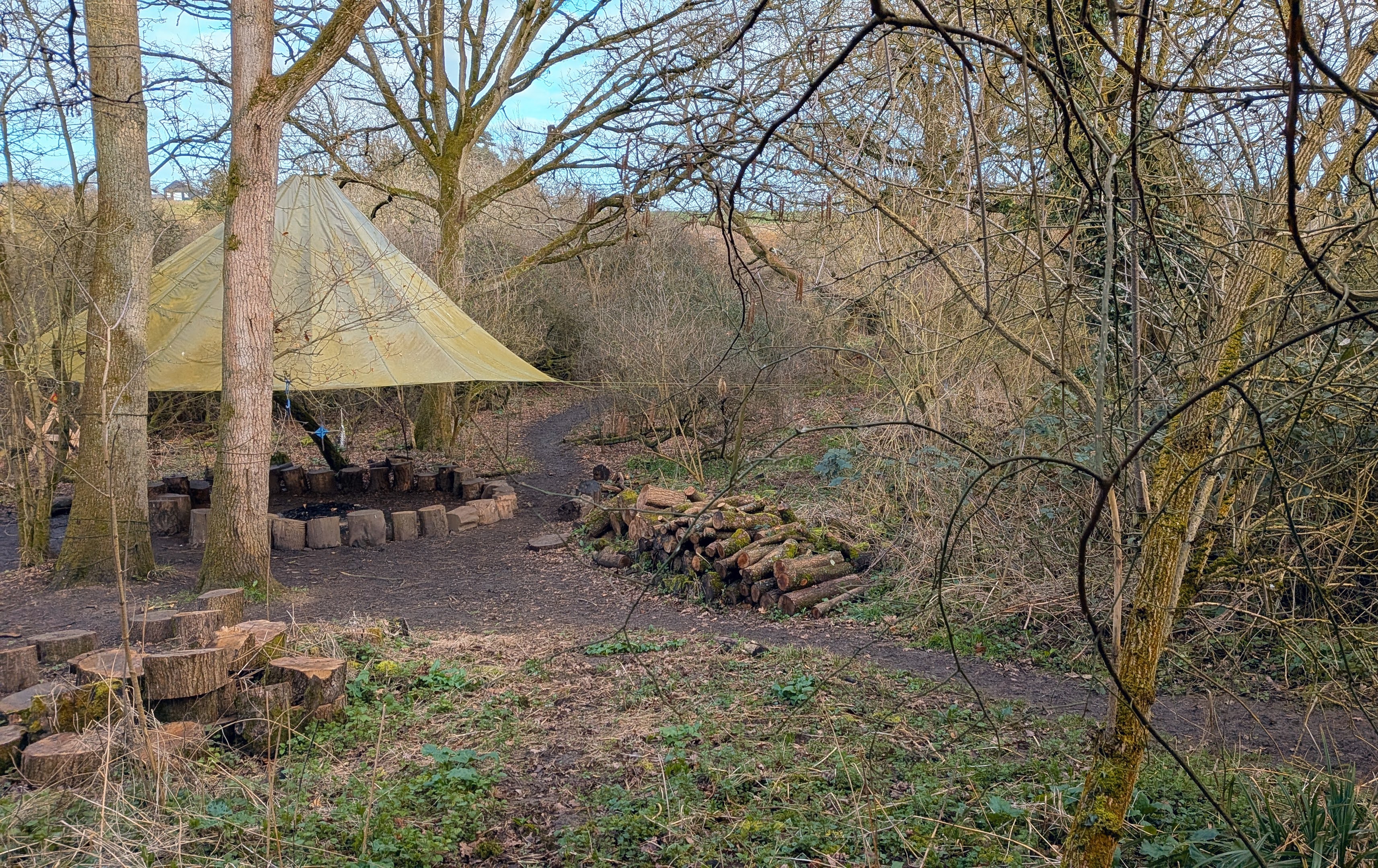 Forest School outdoor learning