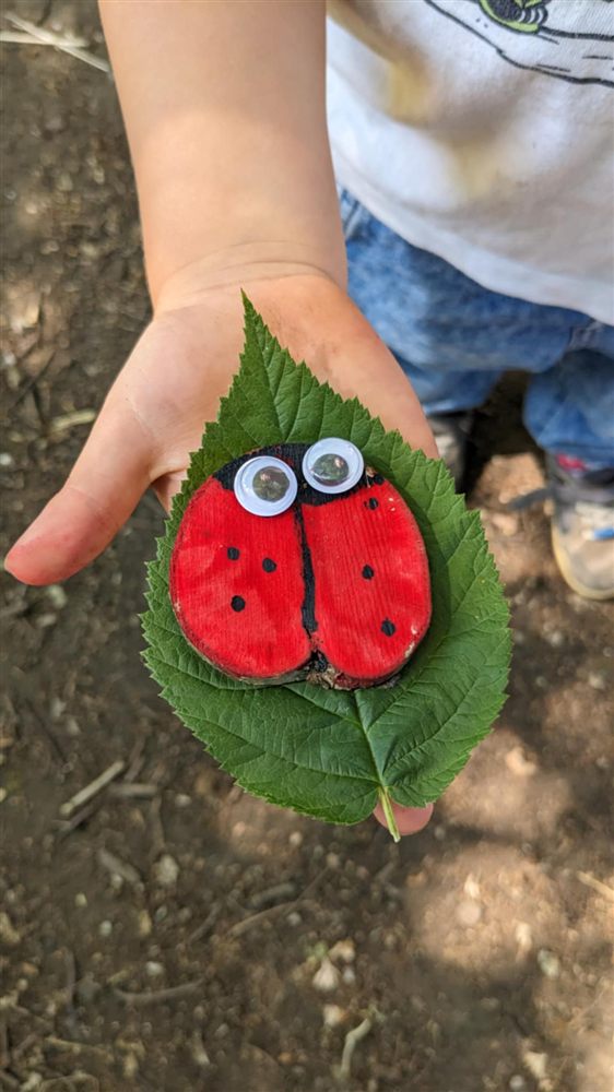 A child holding a hand-painted ladybird pebble on a leaf