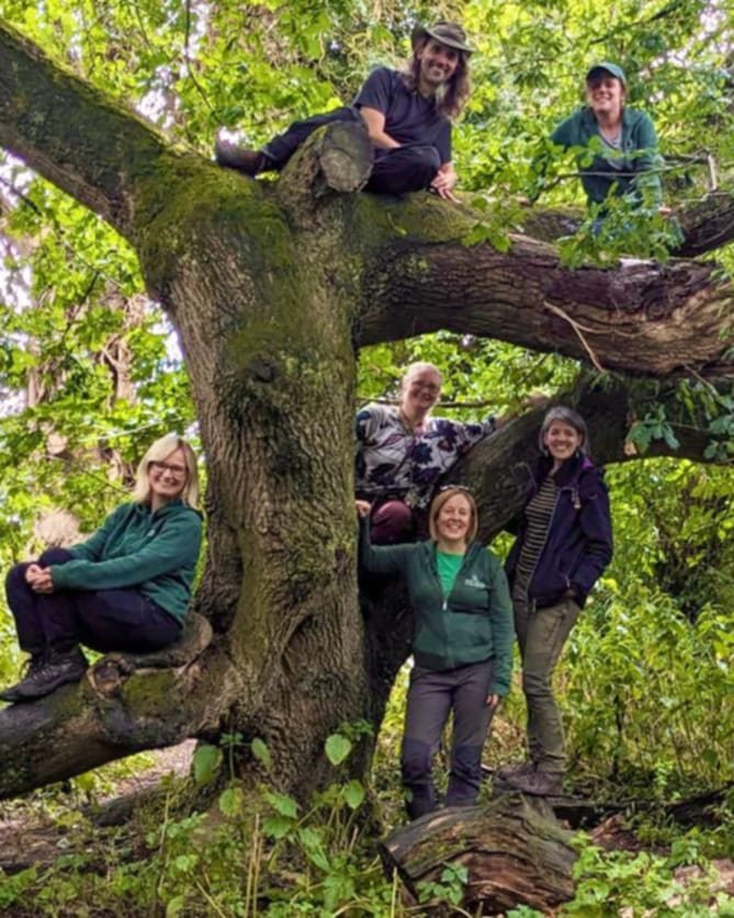 The Nature of Learning team gathered up in a large woodland tree